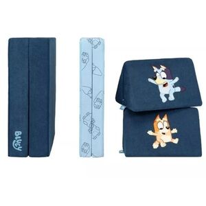 Bluey Nugget (cover only)